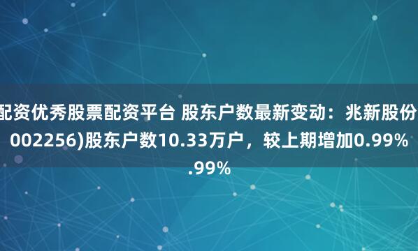 配资优秀股票配资平台 股东户数最新变动：兆新股份(002256)股东户数10.33万户，较上期增加0.99%
