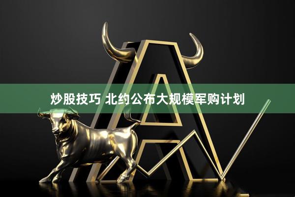 炒股技巧 北约公布大规模军购计划